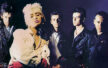 Transvision Vamp